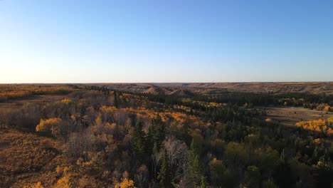 Drone-Volando-Hacia-Adelante-Revelando-Los-Colores-De-La-Temporada-De-Otoño-En-El-Centro-De-Alberta-Durante-El-Otoño