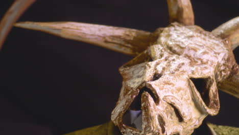 sinister ritual: devil with cow skull head conjuring in darkness