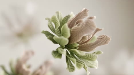 stylized abstract flower with green and pink petals