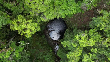 Wasser-Rieselt-In-Ein-Natürlich-Geformtes-Erdloch,-Das-Tief-In-Den-Baumkronen-Eines-Tropischen-Dschungels-Versteckt-Ist