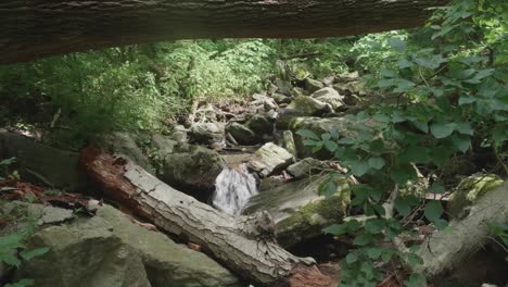 el agua fluye sobre rocas y árboles en el arroyo wissahickon