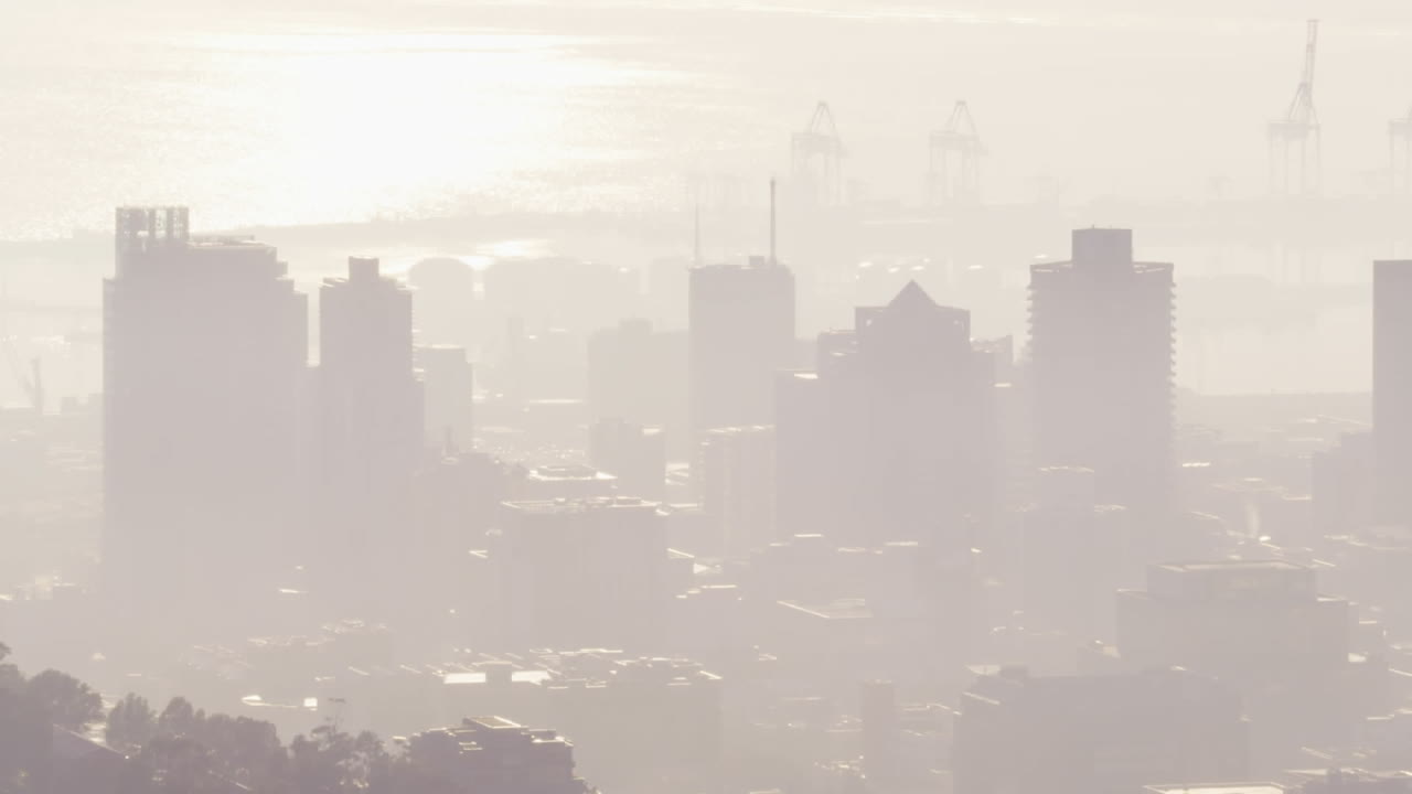 A video of red dots on a green background