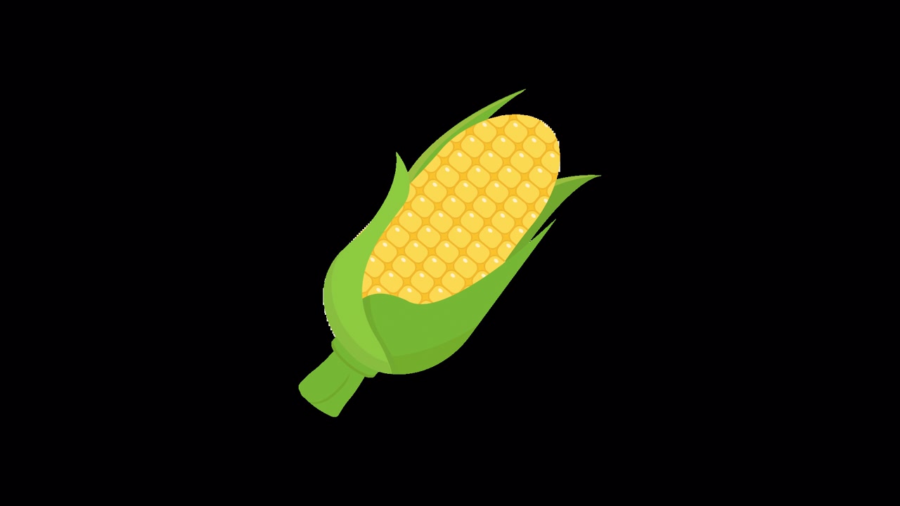 Animated Corn Cob Growing and Revealing Kernels