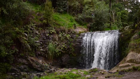 static footage of oakley creek waterfall in the suburbs of auckland, new zealand