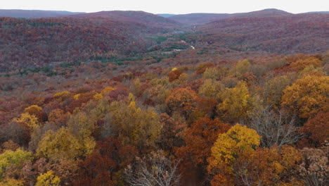 Bosque-Montañoso-Con-Follaje-Dorado-Y-Marrón-Durante-La-Temporada-De-Otoño-En-Cedar-Flats,-Arkansas,-Estados-Unidos