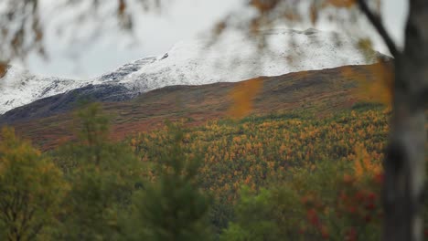 magnífico paisaje de otoño con follaje de colores brillantes y montañas cubiertas de nieve en el fondo