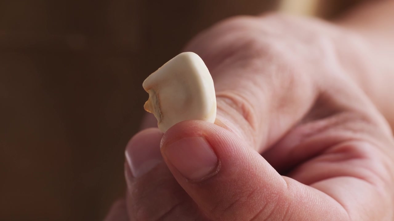 Close-up of a Hand Holding a Single Peeled Garlic Clove