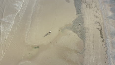 aerial top down view, rider and horse, ride along the waters edge of a beach