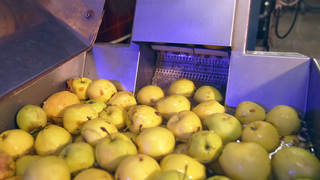 Apples being washed in a food processing facility