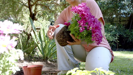una mujer biracial feliz plantando flores en el jardín soleado de su casa, en cámara lenta