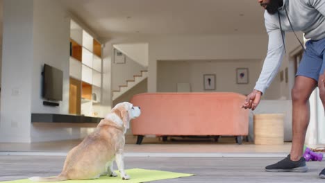 Happy-african-american-man-playing-with-dog-on-deck-in-sunny-garden,-slow-motion