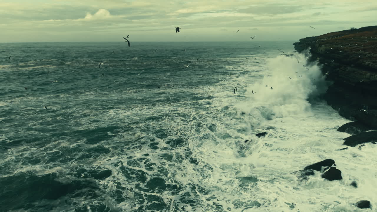 Vista aerea di potenti onde oceaniche che si infrangono contro scogliere rocciose con gabbiani in volo