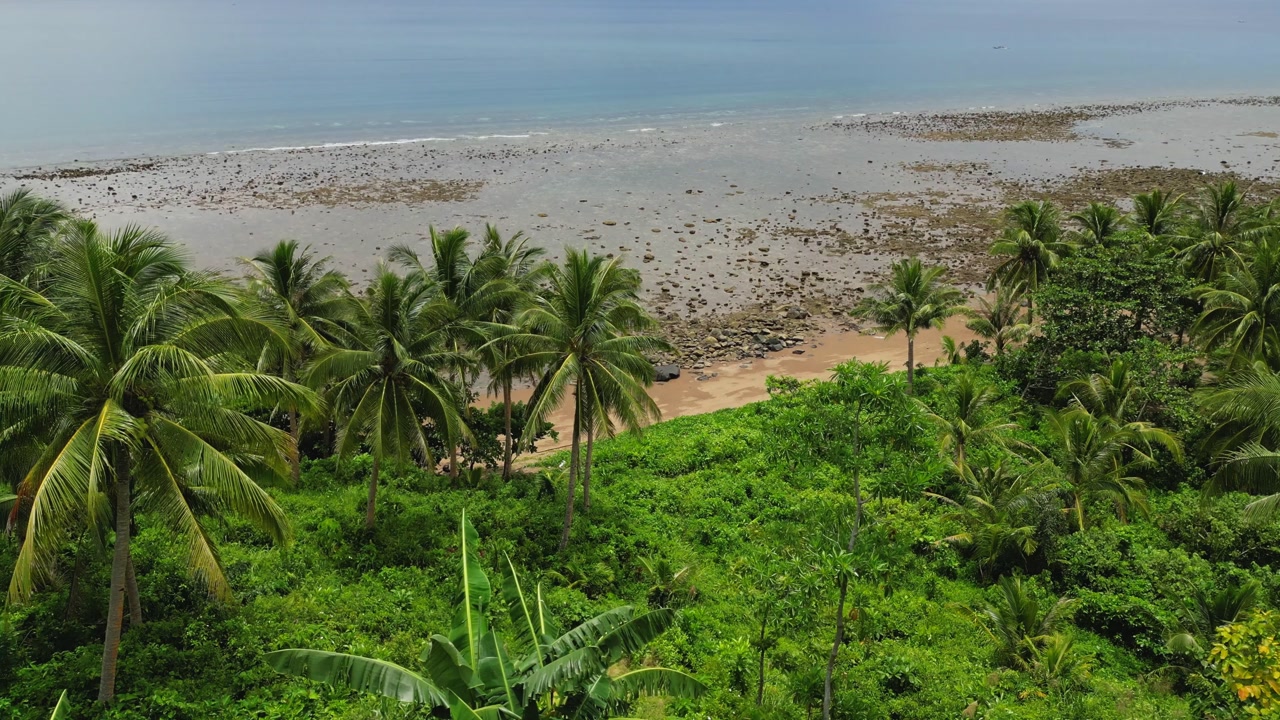 An elevated drone view showcases a palm-lined tropical coast, with sandy beach and scattered rocks meeting calm, shallow waters under a serene horizon of Mauban, Quezon Province Philippines