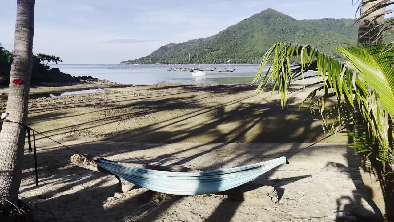 hamaca azul entre las palmeras en la playa tropical de arena, día ligero ventoso y soleado, disparo estático, copia de espacio