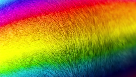 rainbow fur texture