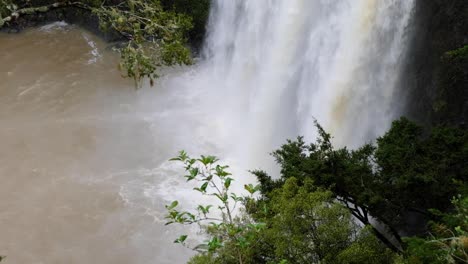 cerca de la cascada inundada de whangarei con agua blanca en la piscina en nueva zelanda aotearoa