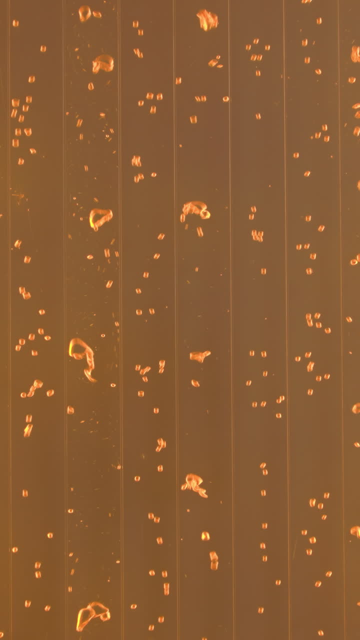 오렌지색 유리 거품