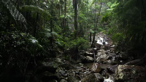 El-Agua-Fluye-Por-Un-Arroyo-En-Cascada-Que-Serpentea-A-Través-De-Un-Oasis-En-La-Selva-Tropical.