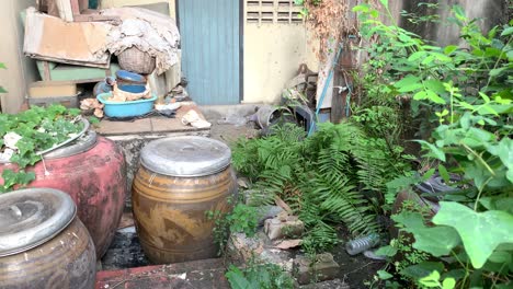 Verlassenes-Haus-Mit-Töpfen-Und-Verschiedenen-Utensilien-Im-Garten