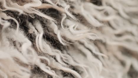 a closeup of soft, curly wool fibers in natural, neutral tones, showing intricate details and textures