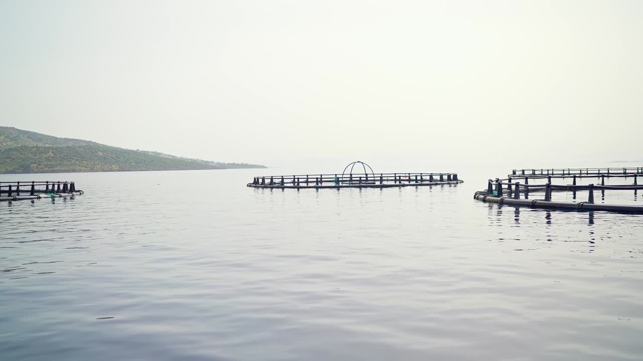 바다 한가운데에 있는 생선 농장에서 작은 물고기들.