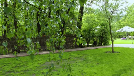 beautiful garden scene