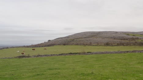 panoramic shot from an irish field in county clare