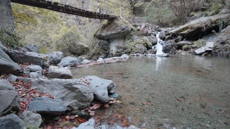 Tranquil-forest-stream-with-a-rustic-bridge-and-autumn-leaves,-shot-in-natural-light