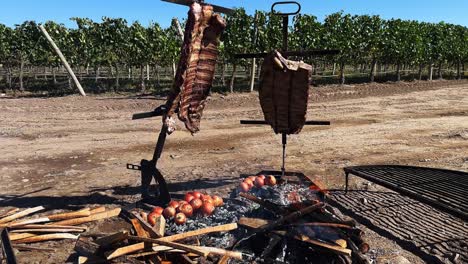 grilling in style: preparing a beef rib rack with a scenic vineyard backdrop