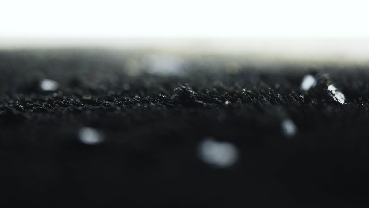 Iron Dust Particles Froming Magnetic Patterns