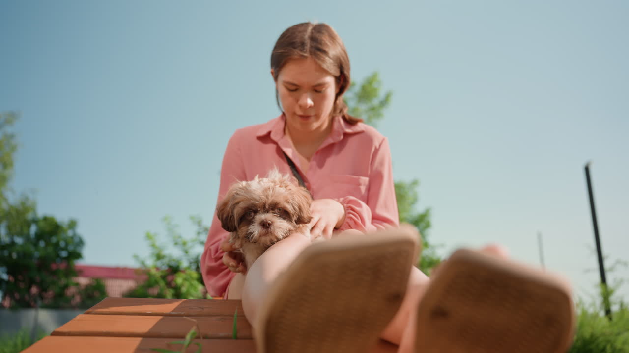 Wideangle Shot Of Woman With Puppy In Park, Serene Scene Of Woman Cradling Puppy Under Warm Sky, Peaceful Park Setting Where Woman Gently Holds Puppy With Wide Perspective And Warm Sunlight