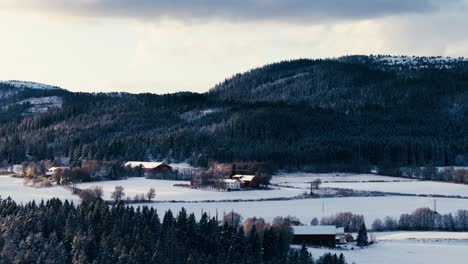 coniferous forest mountain on a countryside farm village during winter in indre fosen, norway