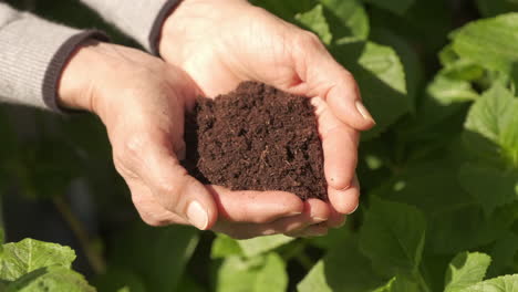 woman hands giving soil slow motion