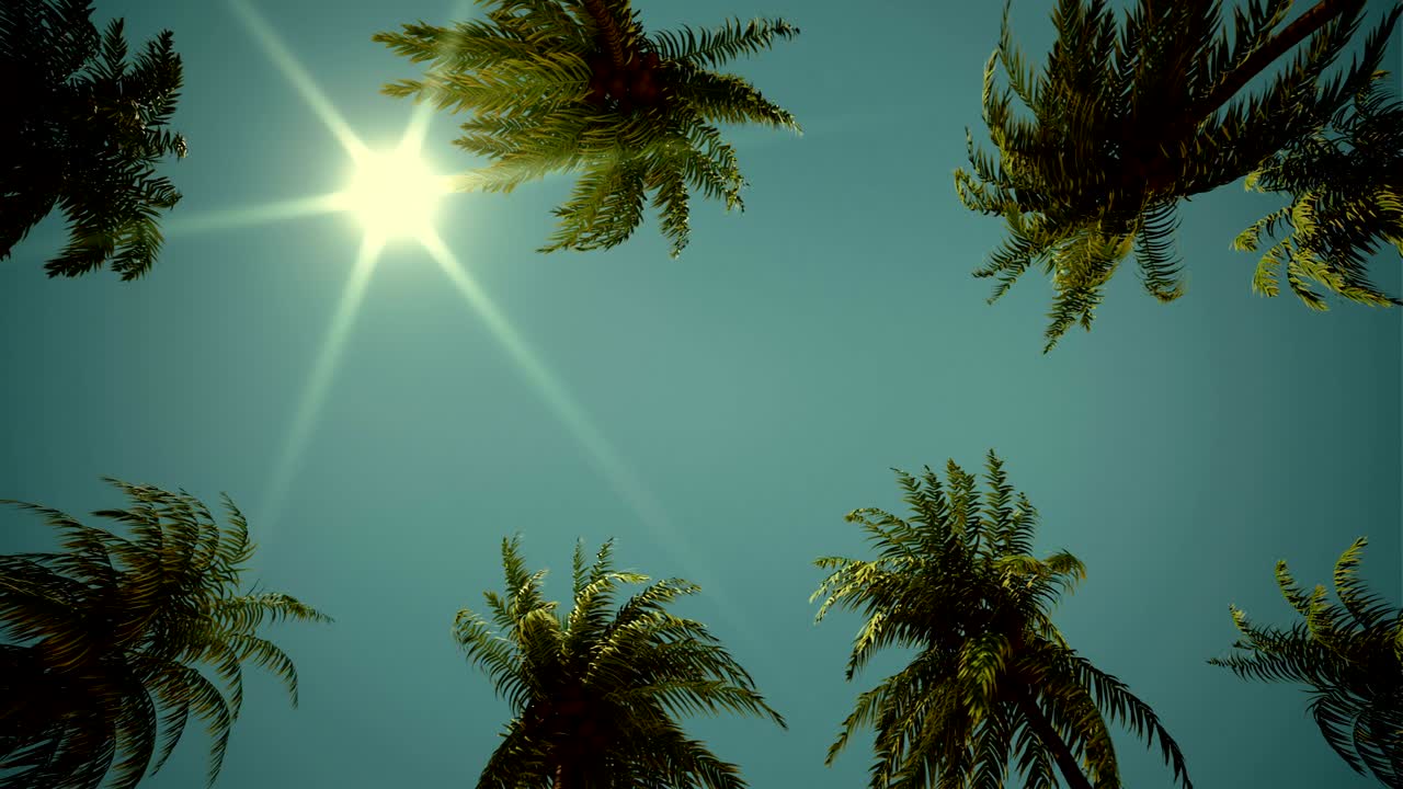 나무 골목을 가로질러 운전