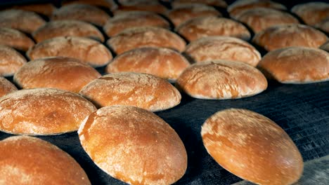 rows of baked round bread loaves move from a conveyor.