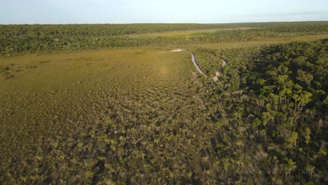 clip aéreo de matorrales en el remoto interior de australia, tarde en la tarde