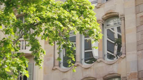 Close-up-of-Mediterranean-classical-windows-with-green-leaves-of-tree