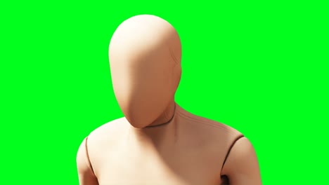 dummy, mannequin animation. phisical, motion blur. realistic 4k animation. green screen