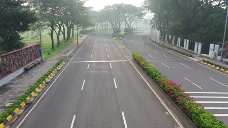 empty road in a park like setting in the morning with fog