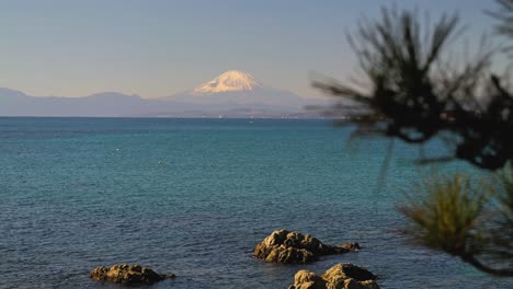 Impresionante-Paisaje-Del-Monte-Fuji-Con-Océano-Y-Ramas-De-Pino-Que-Ondean-Suavemente.