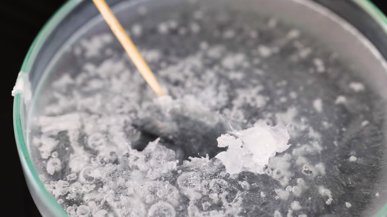 과학 실험에서 형성되는 결정