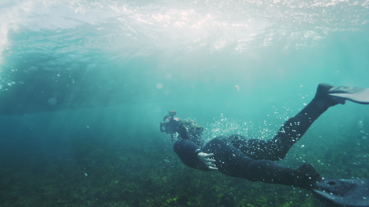 Underwater slow-motion view of small fish navigating through a lush seaweed forest in crystal-clear waters, highlighting marine diversity and movement