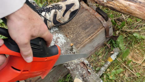 hombre podando una rama con una sierra pequeña