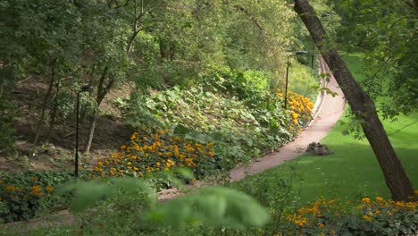 park path with yellow flowers