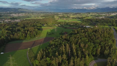 Vista-Aérea-Del-Paisaje-Verde-De-Suiza-Con-Bosques,-Montañas-En-El-Fondo