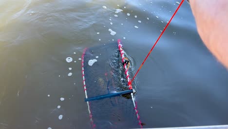 pulling up a crab trap from water