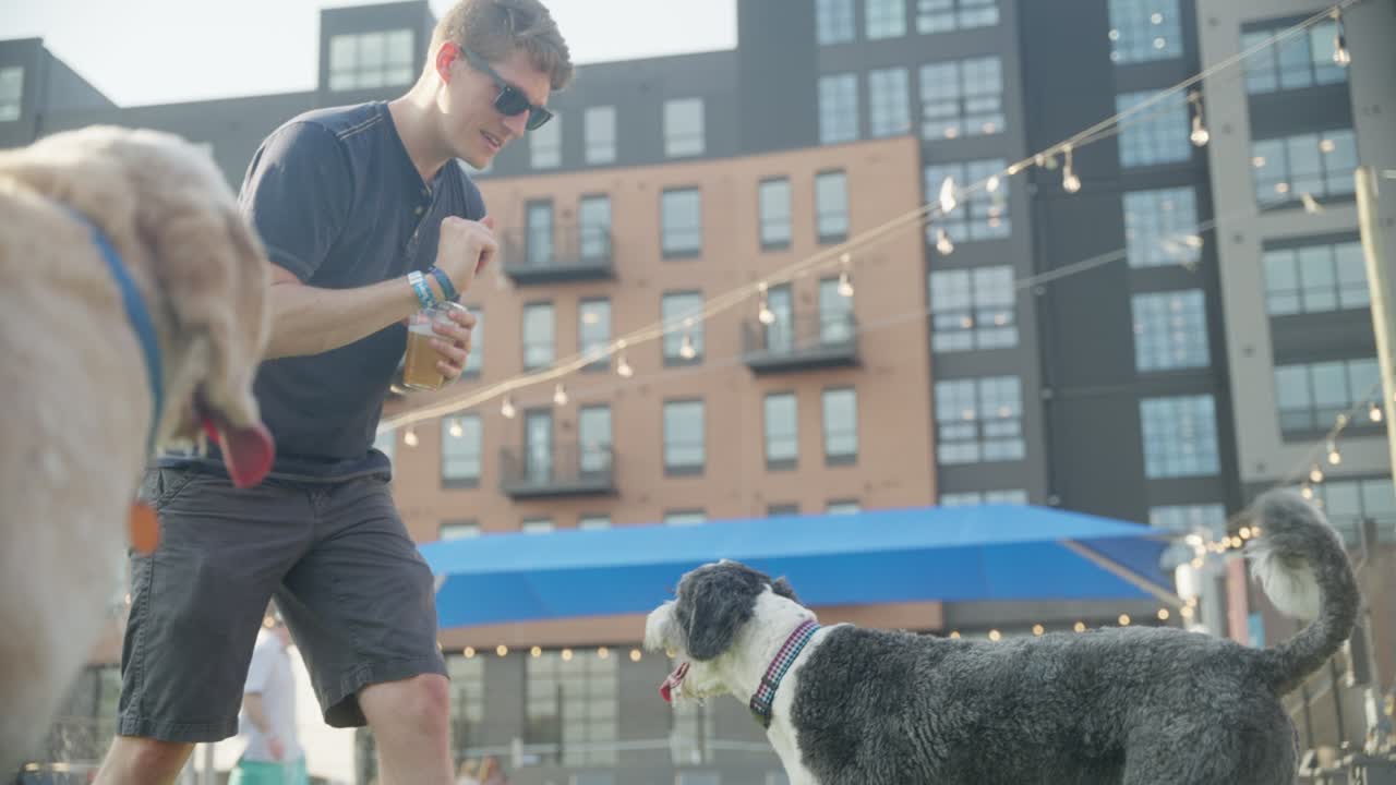 한 남자가 야외 도시 개 공원에서 개와 함께 놀고 있다