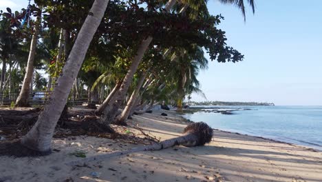 Fußabdrücke-Und-Schiefe-Kokospalmenvegetation-Am-Tropischen-Weißen-Sandstrand