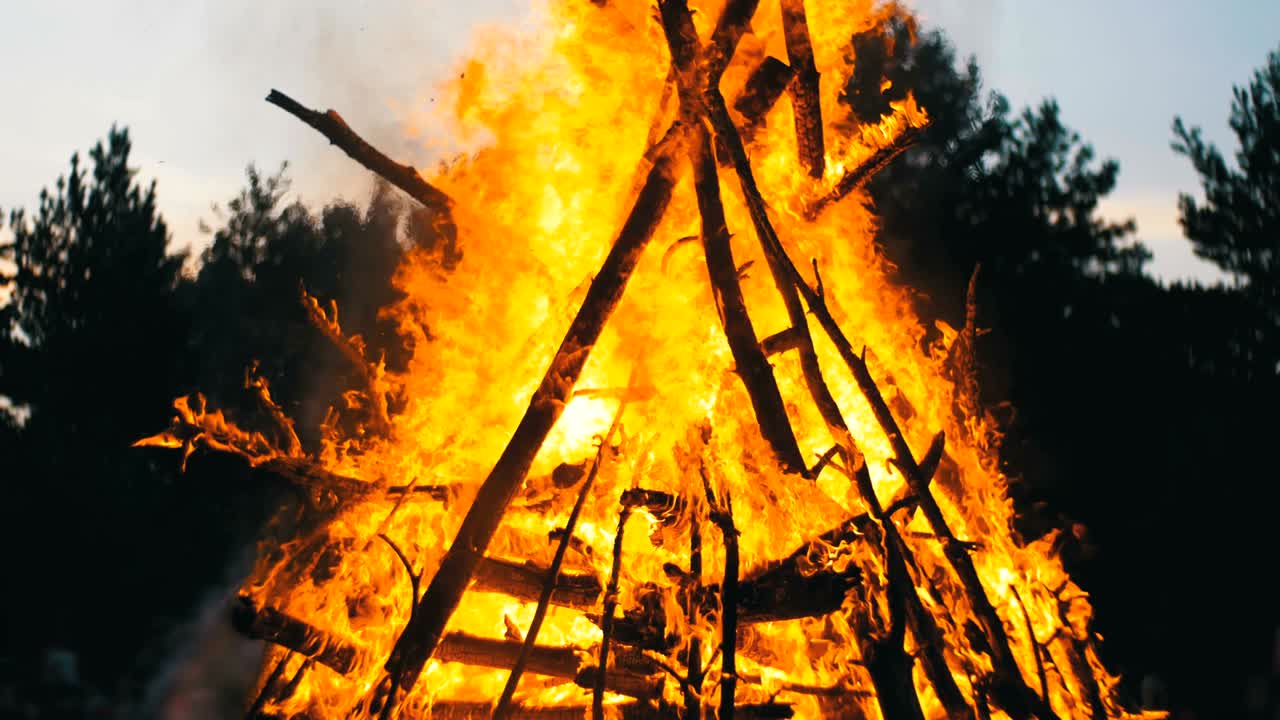 gran fogata de las ramas quema por la noche en el bosque en el fondo de la gente
