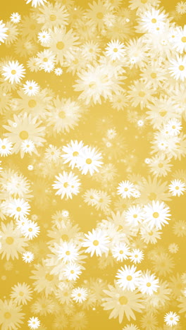 chamomile flowers with white petals. abstract yellow floral background. looped motion graphic. vertical video.